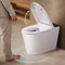 Bazyths Smart Toilet with Built-in Tank and Bidet, Auto Open/Close, Foot Sensor Flush, Heated Seat, Dryer, Elongated One-Piece Design, 12 in. Rough In, 110V-120V, ZY695A